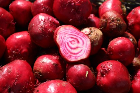 Betterave Chioggia  (kg)