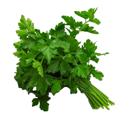 Cerfeuil botte  (pc)