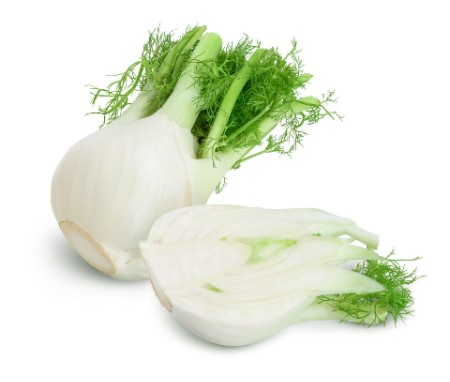 Fenouil  (pc)