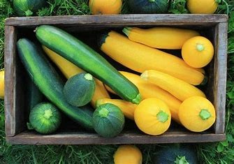 Courgettes  (kg)
