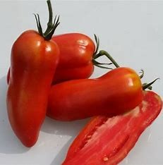 Tomates cornues  (kg)