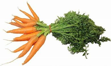 Carottes bottes  (pc)