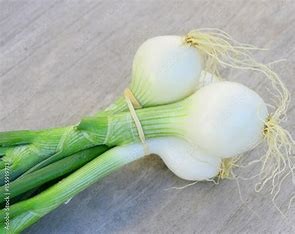 Jeunes oignons blancs (botte)  (pc)