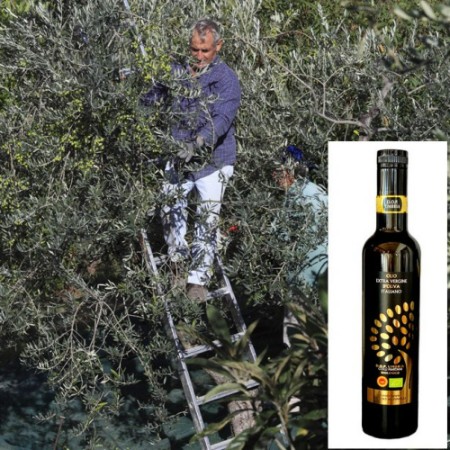 704- Huile d'Olive Extra-Vierge BIO DOP (500ml)  (pc)